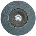 Flap Discs