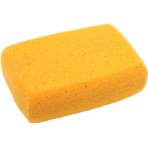 Sponges