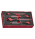 Teng Tools 4 Piece Mixed Size Phillips (PH), Pozidriv (PZ) Tip Head Screwdriver EVA Foam Set - TEAMD04N1