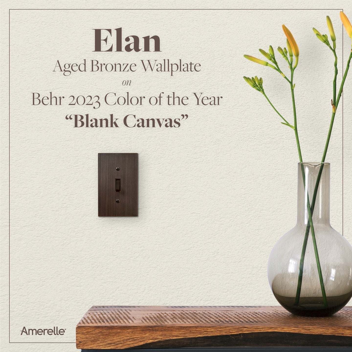 Elan Aged Bronze Cast - 1 Cable Jack Wallplate