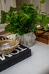 Stoneware Sunburst Shaped Serving Bowl with Glaze