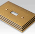 Steps Rustic Brass Cast - 1 Toggle Wallplate