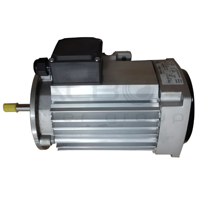 Balboa 1.5 HP Replacement Motor [ELD] [230V] [5 Amps] (7503450)