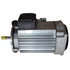 Balboa 1.5 HP Replacement Motor [ELD] [230V] [5 Amps] (7503450)