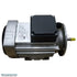 Motor de repuesto Balboa de 2,0 HP [230 V] [IP55] [ELD] [7,6 amperios] (7503500)