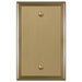 Metro Line Brushed Bronze Cast - 1 Blank Wallplate