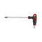 Teng Tools T Handle Metric Hex Keys