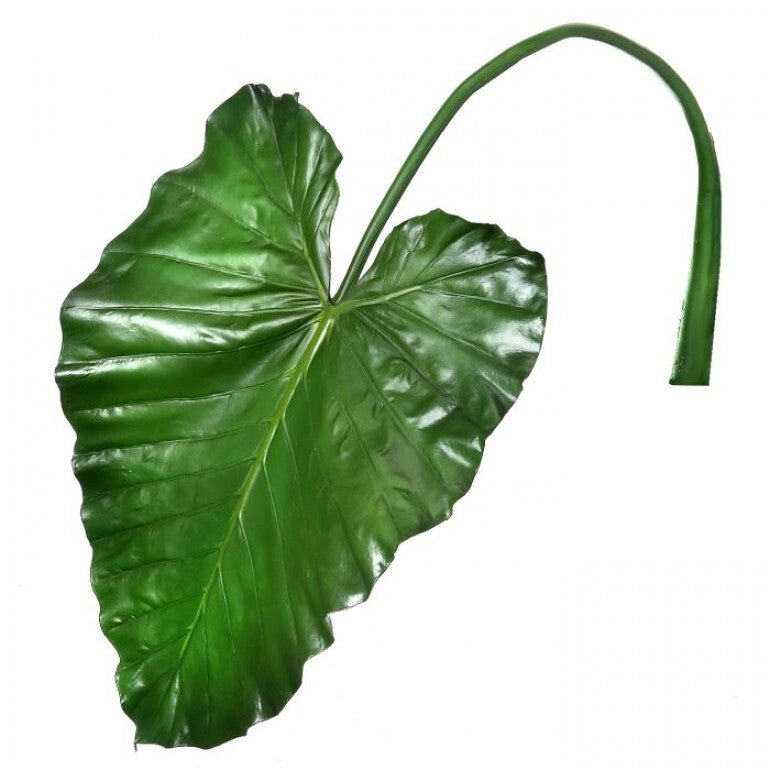 Taro Leaf Stem 43"