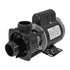 Balboa 1/15 HP Olympian Circulation Pump [1.5"] [1.3a] [115v] [60Hz] (98811)