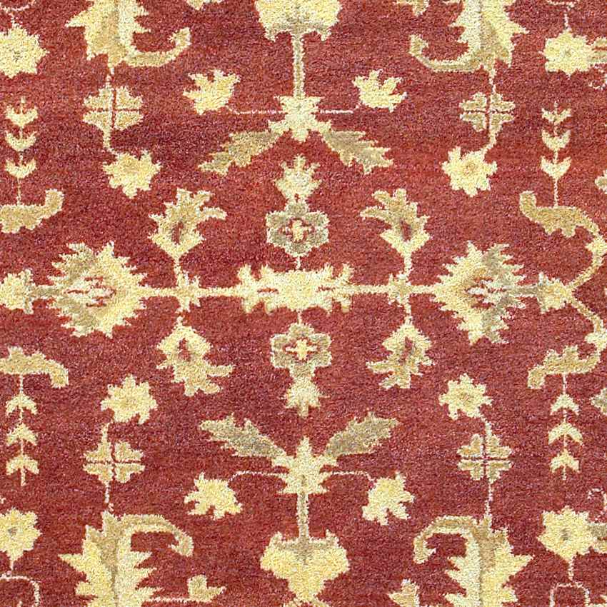 Alpharetta Traditional Rust/Beige/Tan Area Rug