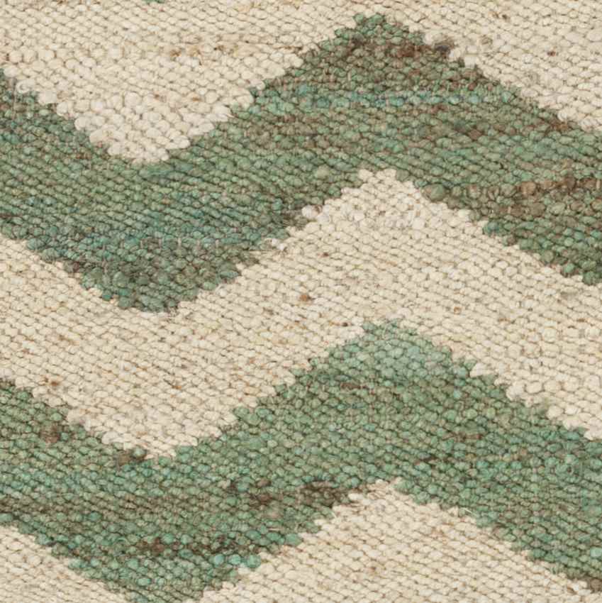 Alpha Global Dark Green/Cream Area Rug