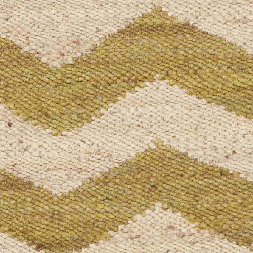 Alpha Global Lime/Cream Area Rug