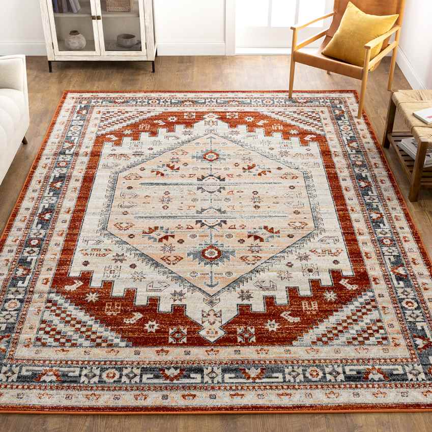 Alfordsville Traditional Burnt Orange Area Rug