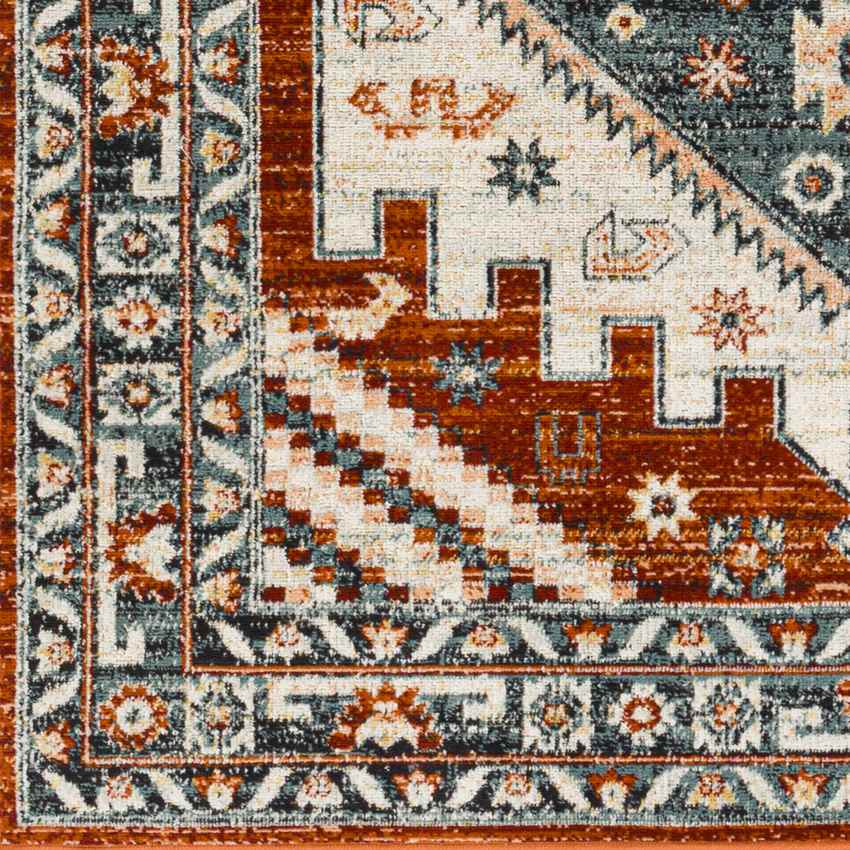 Alfordsville Traditional Burnt Orange Area Rug