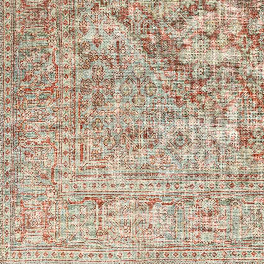 Mylikouri Traditional Rust Washable Area Rug