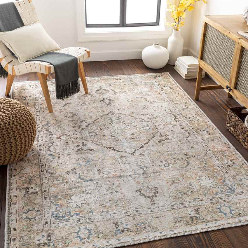 Goose Lake Traditional Taupe Washable Area Rug