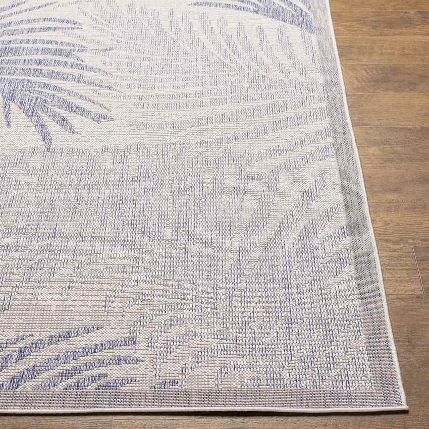 Algona Coastal Ivory Area Rug