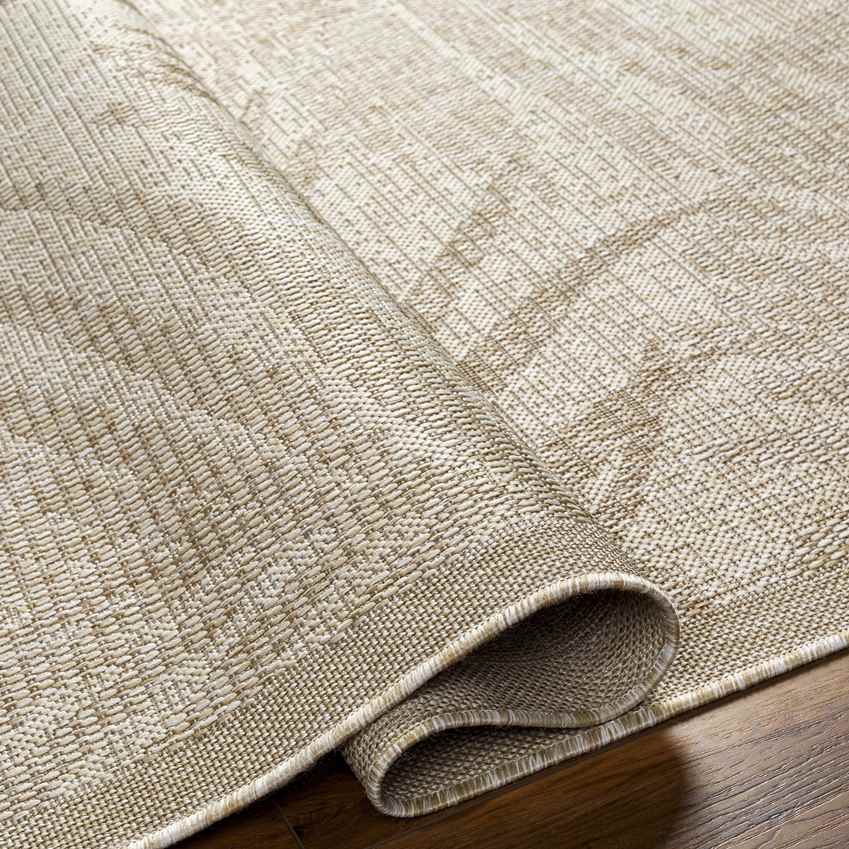 Algona Coastal Brown Area Rug