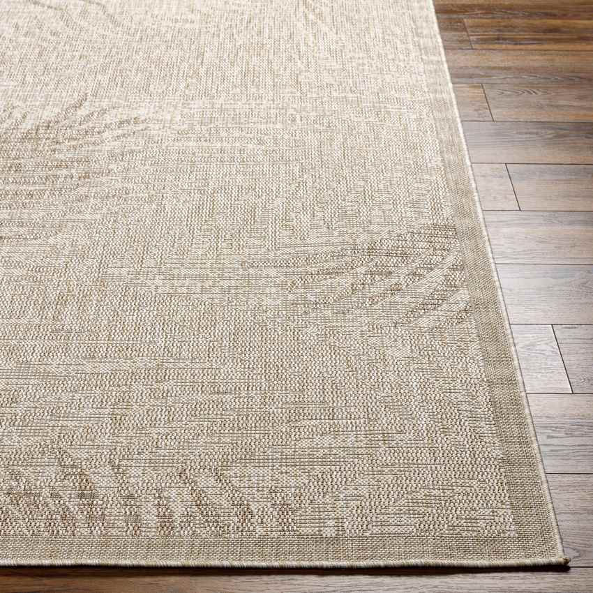 Algona Coastal Brown Area Rug