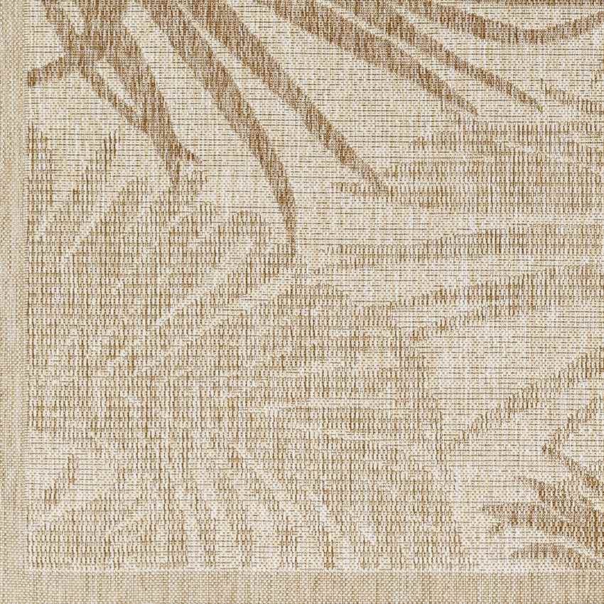 Algona Coastal Brown Area Rug