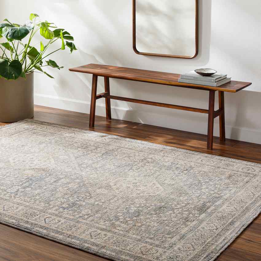 Belmond Traditional Light Beige Area Rug