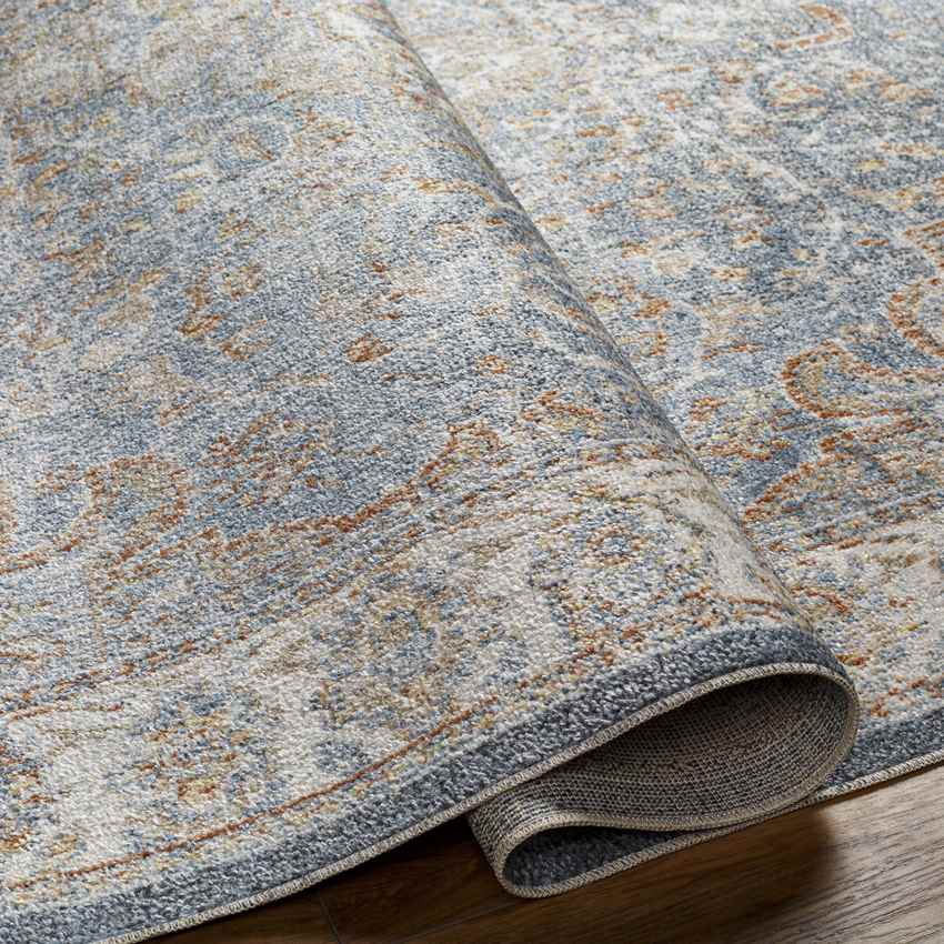 Elsmore Traditional Dark Blue Washable Area Rug