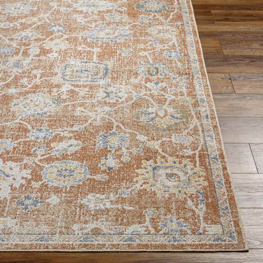 Erlanger Traditional Burnt Orange Washable Area Rug