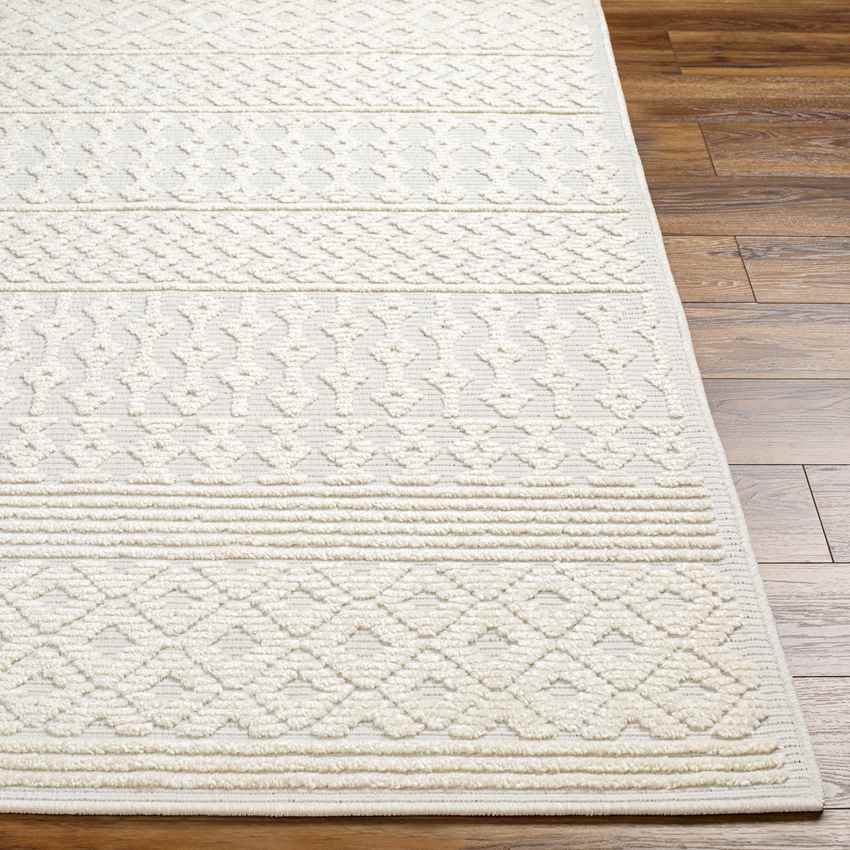 Carrsville Cottage Light Gray Washable Area Rug