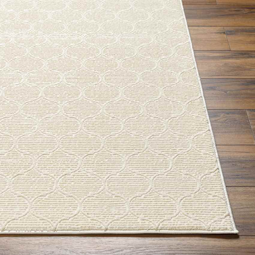 Alfombra lavable color beige Kwasi Cottage