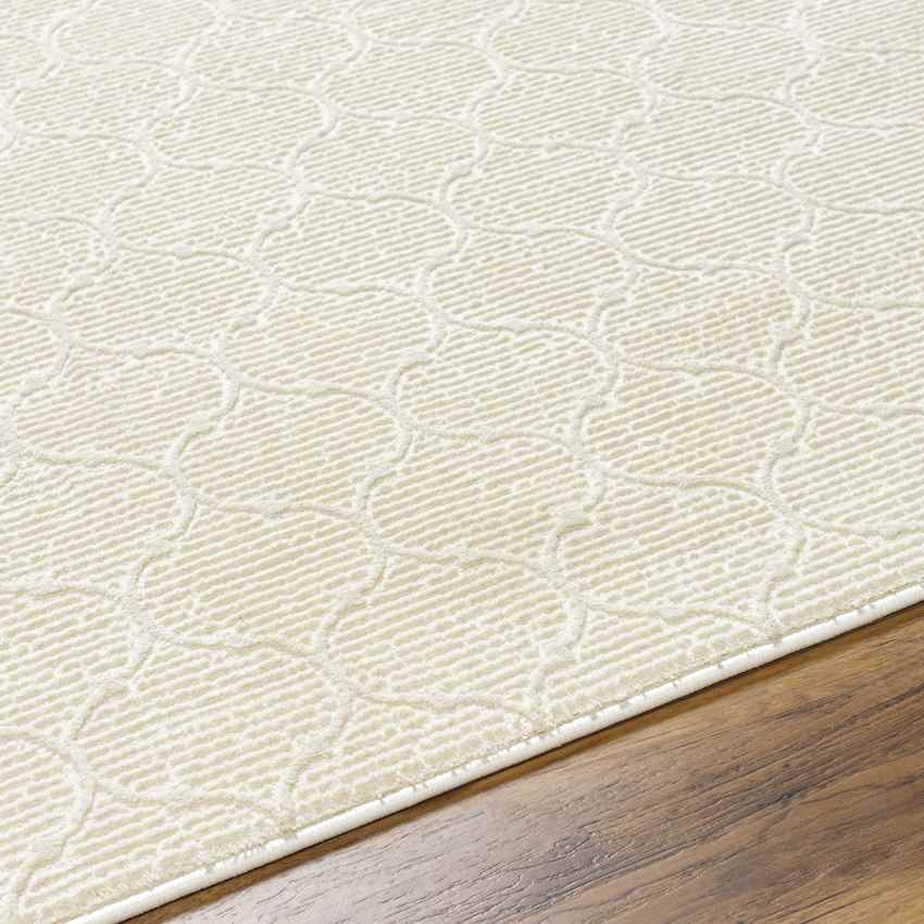 Alfombra lavable color beige Kwasi Cottage