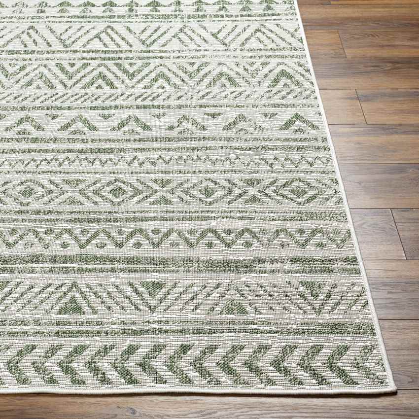 Goff Global Moss Green Area Rug