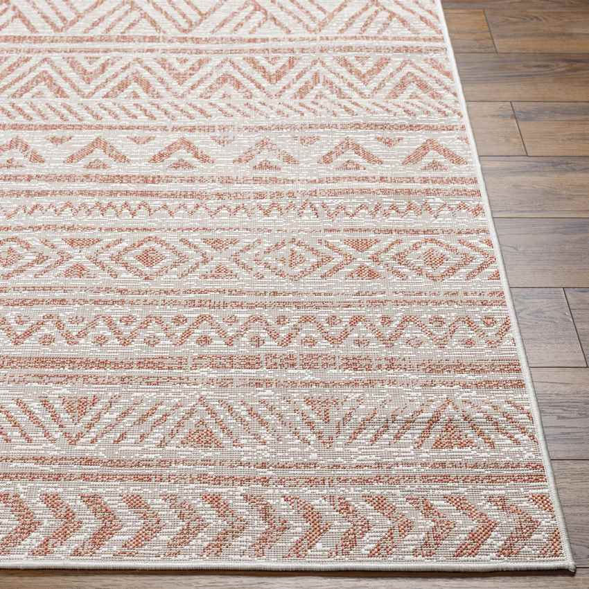 Goff Global Coral Pink Area Rug