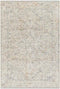 Darnetta Traditional Beige/Navy Area Rug