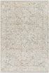 Darnetta Traditional Beige/Navy Area Rug