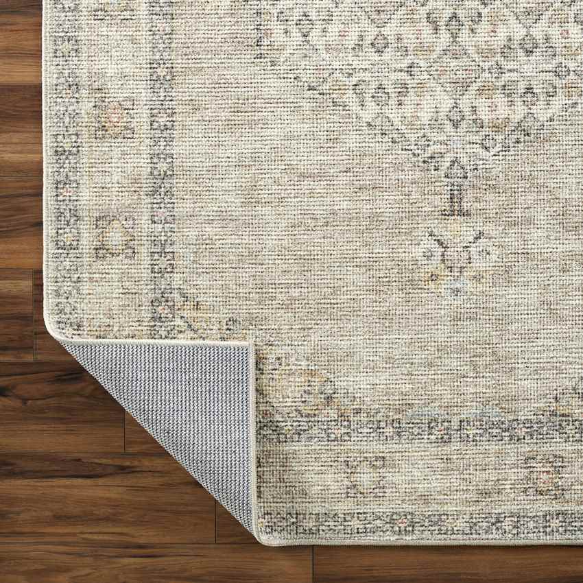 Lila Traditional Light Brown/Cream Area Rug - Becki Owens x Livabliss