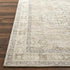 Lila Traditional Light Brown/Cream Area Rug - Becki Owens x Livabliss