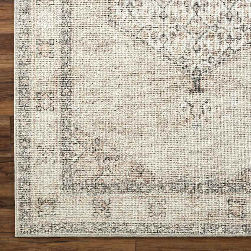 Lila Traditional Blush/Beige Area Rug - Becki Owens x Livabliss