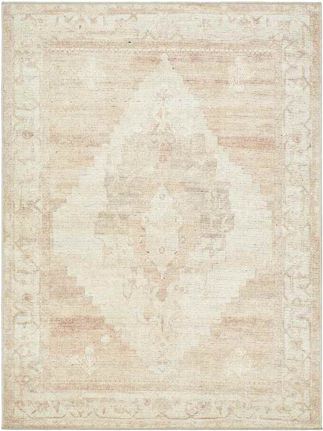 Luca Traditional Blush/Cream Area Rug - Becki Owens x Livabliss