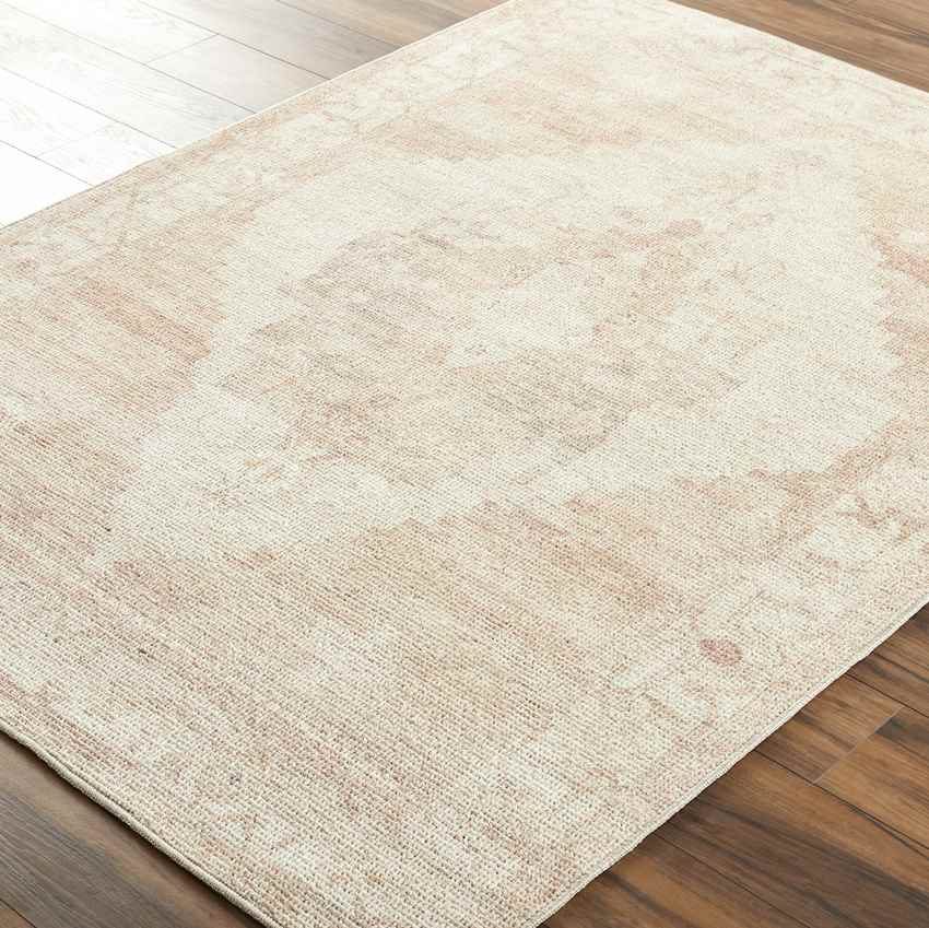 Luca Traditional Blush/Cream Area Rug - Becki Owens x Livabliss