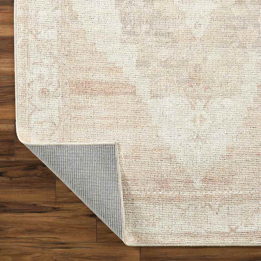 Luca Traditional Blush/Cream Area Rug - Becki Owens x Livabliss