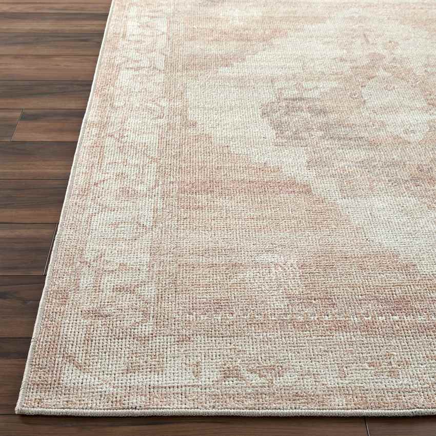 Luca Traditional Blush/Cream Area Rug - Becki Owens x Livabliss