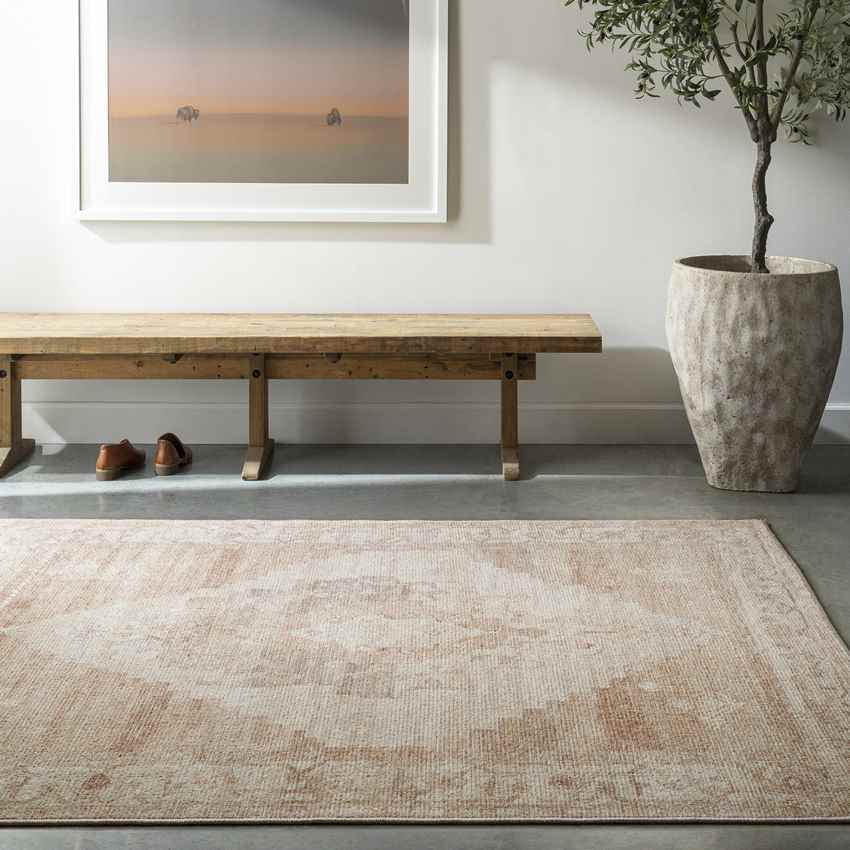 Luca Traditional Blush/Cream Area Rug - Becki Owens x Livabliss