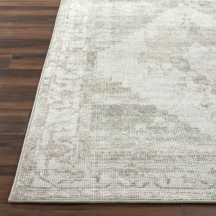 Luca Traditional Sage/Cream Area Rug - Becki Owens x Livabliss