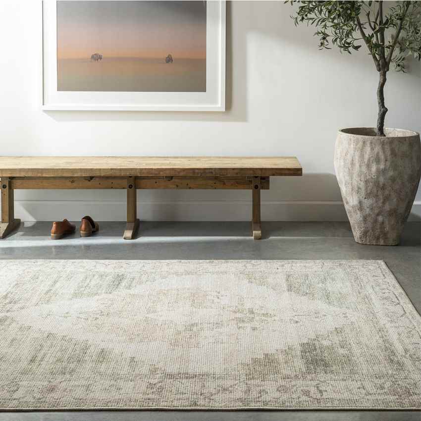 Luca Traditional Sage/Cream Area Rug - Becki Owens x Livabliss