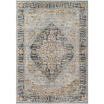 Ginni Traditional Navy/Light Gray Area Rug