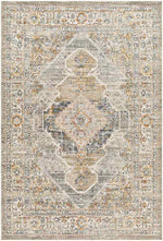 Chrystie Traditional Charcoal Area Rug