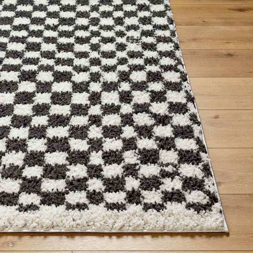 Emmitt Modern Dark Gray Area Rug