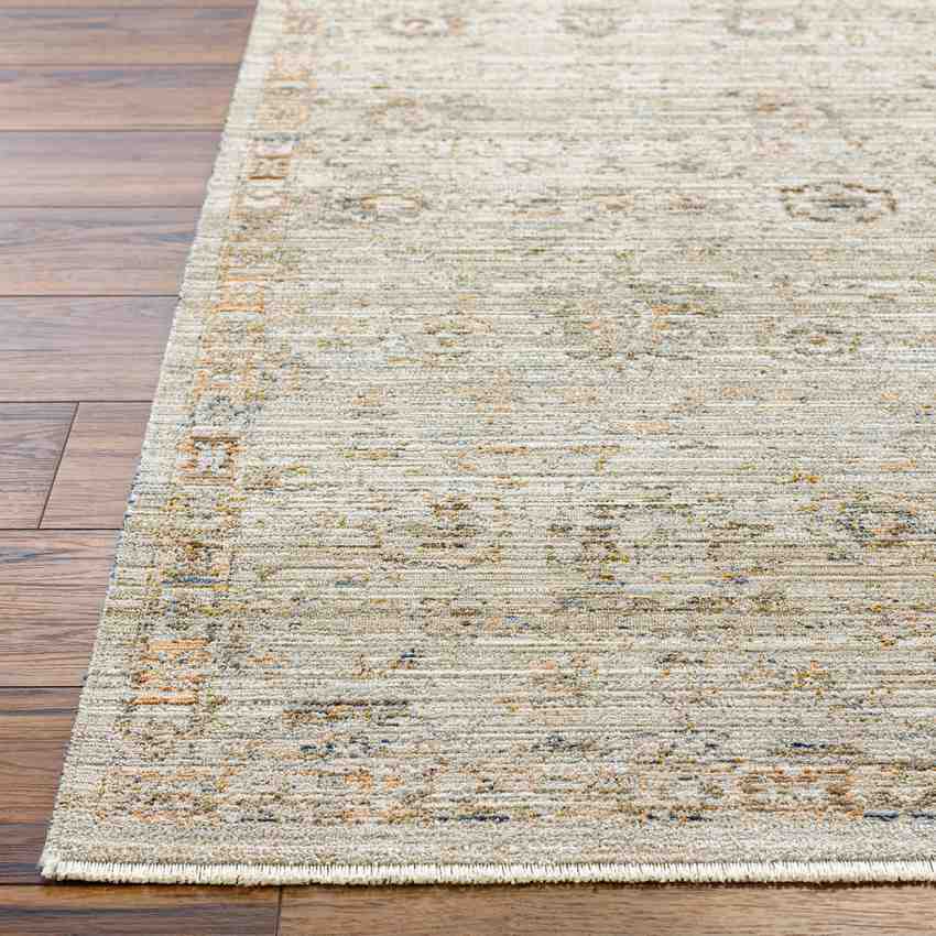 Margaret Traditional Ivory Washable Area Rug - Becki Owens x Livabliss