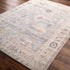 Marlene Traditional Medium Gray/Pale Blue Area Rug - Becki Owens x Livabliss