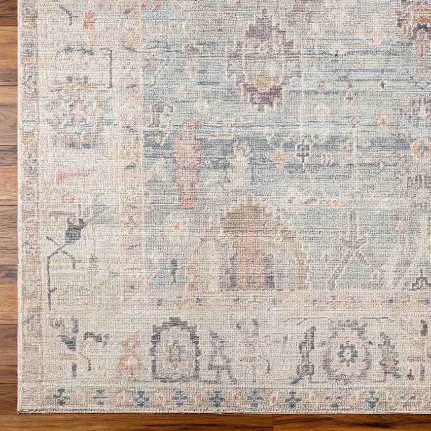 Marlene Traditional Medium Gray/Pale Blue Area Rug - Becki Owens x Livabliss